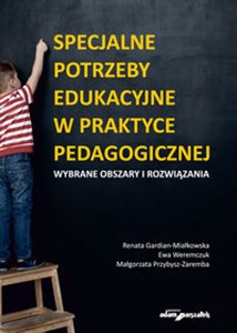 Picture of Specjalne potrzeby edukacyjne w praktyce pedagogicznej Wybrane obszary i rozwiązania