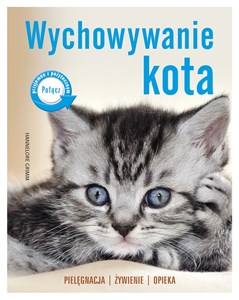 Obrazek Wychowywanie kota