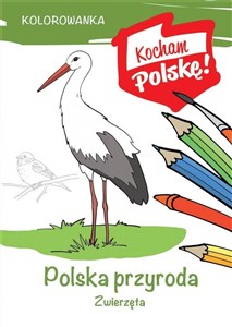 Picture of Kolorowanka Polska przyroda zwierzęta