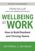 Książka : Wellbeing ... - Jim Clifton, Jim Harter