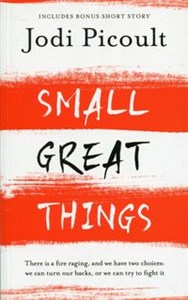 Picture of Small Great Things