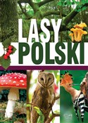 Lasy Polsk... - Ewa Giermek -  books in polish 