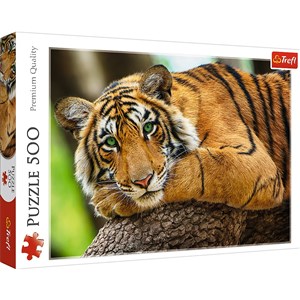 Picture of Puzzle 500 Portret tygrysa 37397