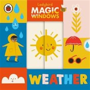 Picture of Magic Windows Weather