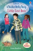 Książka : Little Los... - Zanna Davidson