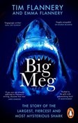 Big Meg - Tim Flannery, Emma Flannery -  foreign books in polish 