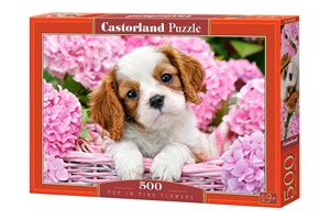 Obrazek Puzzle Pup in Pink Flowers 500