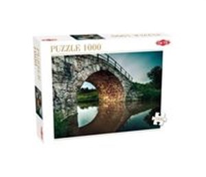 Obrazek Puzzle Under the Bridge 1000