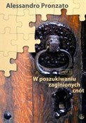 W poszukiw... - Alessandro Pronzato -  books from Poland