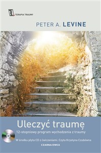 Picture of Uleczyć traumę 12-stopniowy program wychodzenia z traumy