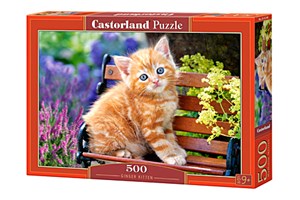 Picture of Puzzle Ginger Kitten 500