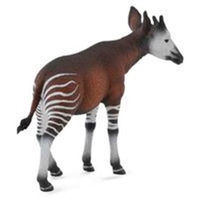 Obrazek Okapi L