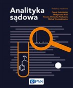 polish book : Analityka ... - Paweł Kościelniak, Renata Wietecha-Posłuszny, Małgorzata Król, Michał Woźniakiewicz