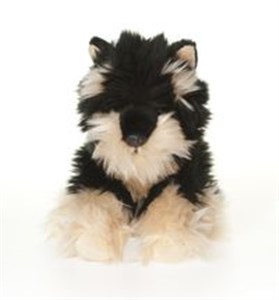 Picture of Terrier czarny 26 cm