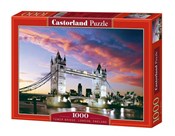 Puzzle 100... -  foreign books in polish 