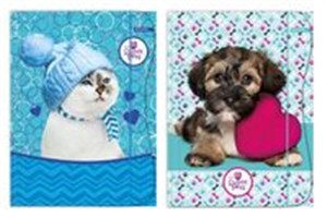 Obrazek Teczka z gumką A4 The Sweet Pets