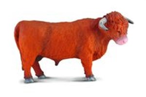 Picture of Szkocki byk górski