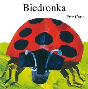 Picture of Biedronka