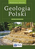 Geologia P... - Włodzimierz Mizerski -  Polish Bookstore 