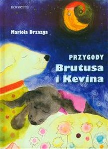 Picture of Przygody Brutusa i Kevina