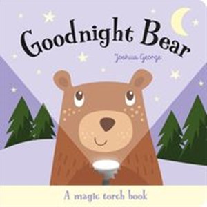 Obrazek Goodnight Bear