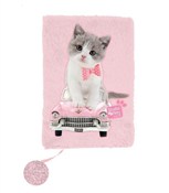 Pamiętnik ... -  Książka z wysyłką do UK