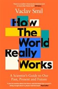 Książka : How the Wo... - Vaclav Smil