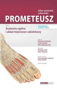 Picture of Prometeusz Atlas anatomii człowieka Tom 1 Anatomia ogólna i układ mięśniowo-szkieletowy