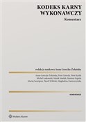 polish book : Kodeks kar... - Anna Gerecka-Żołyńska red.naukowy