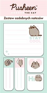 Obrazek Zestaw 5 notesów ozdobnych Pusheen