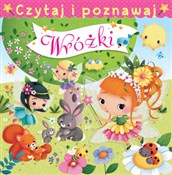Wróżki Czy... - Emilie Beaumont, Nathalie Belineau -  books from Poland