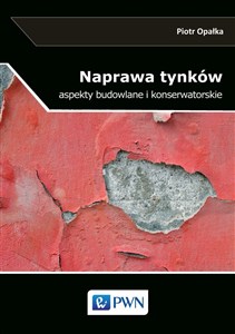 Picture of Naprawa tynków Aspekty budowlane i konserwatorskie