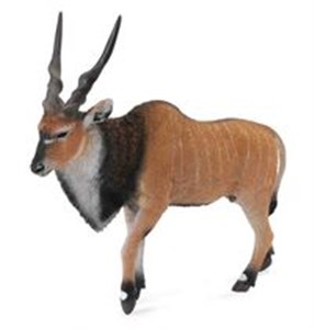 Obrazek Antylopa wielka Eland XL