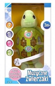 Picture of Zabawka Muzyczna - Żołwik