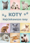 Koty Najci... - Opracowanie Zbiorowe -  books from Poland