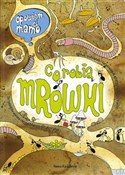 Opowiem ci... - K Brykczyński M Bajerowicz -  Polish Bookstore 