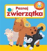 Poznaj zwi... - Urszula Kozłowska -  Polish Bookstore 