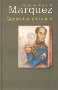 Picture of Generał w labiryncie