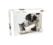 polish book : Puzzle Fri...