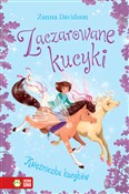 Polska książka : Zaczarowan... - Zanna Davidson