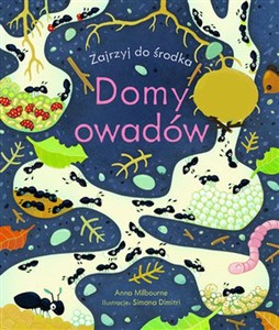 Picture of Domy owadów. Zajrzyj do środka