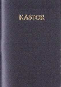 Picture of Kalendarz 2026 plastik MIX