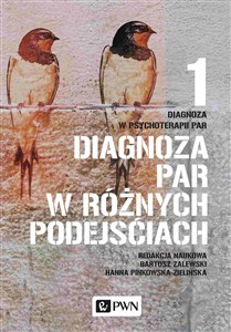 Obrazek Diagnoza w psychoterapii par Tom 1 Diagnoza par w różnych podejściach