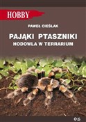 polish book : Pająki pta... - Marcin Jan Gorazdowski