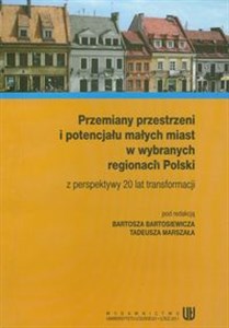 Obrazek Przemiany przestrzeni i potencjału małych miast w wybranych regionach Polski z perspektywy 20 lat transformacji