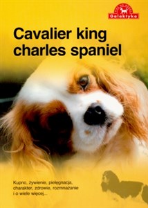 Picture of Cavalier king charles spaniel