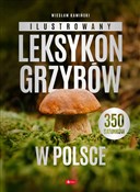 Książka : Ilustrowan... - Wiesław Kamiński