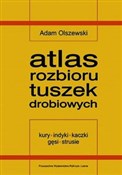 Atlas rozb... - Adam Olszewski -  foreign books in polish 