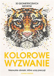 Obrazek Kolorowe wyzwanie. 30 geometrycznych wzorów