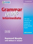 Polska książka : Grammar in... - Raymond Murphy, William R. Smalzer